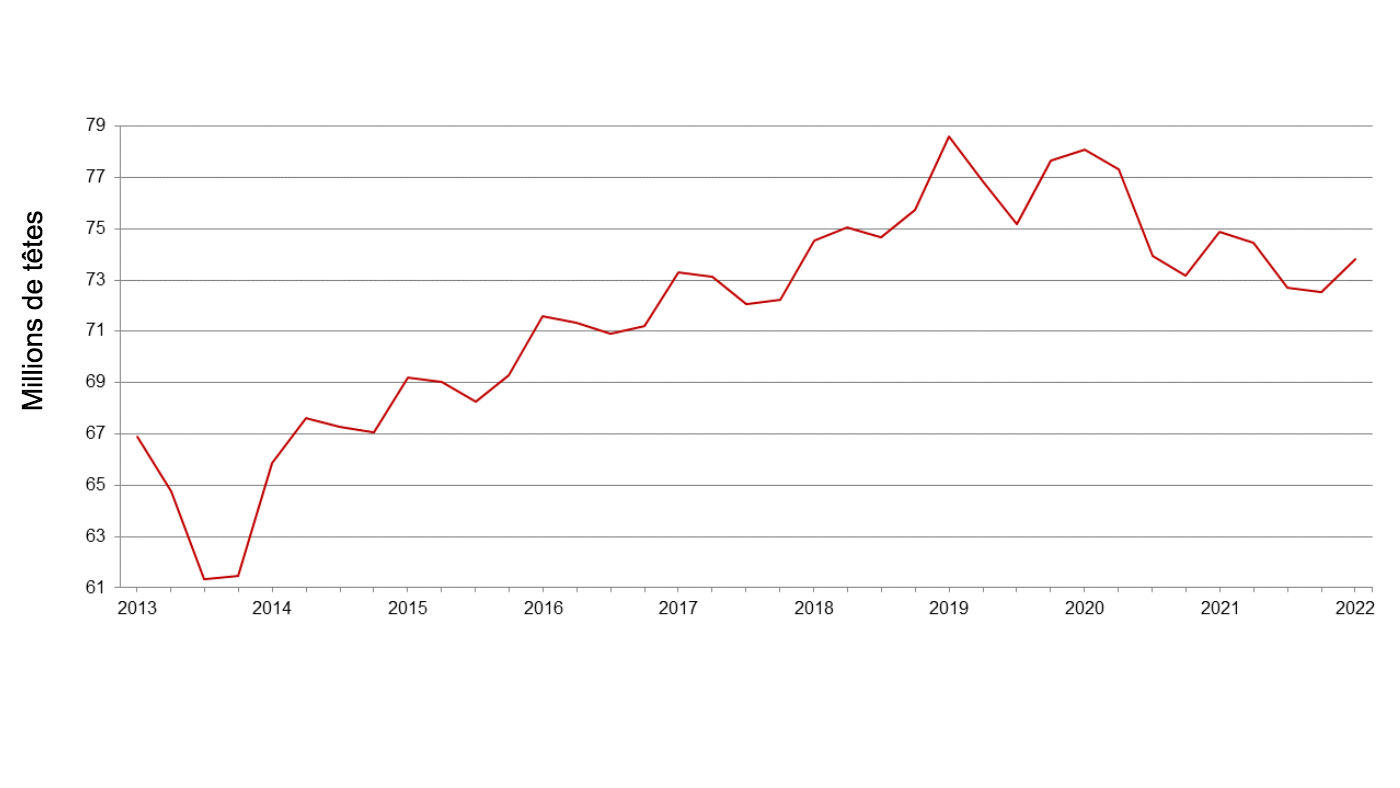 <p>Effectif porcin trimestriel&nbsp;aux &Eacute;tats-Unis - 1er septembre.</p>
